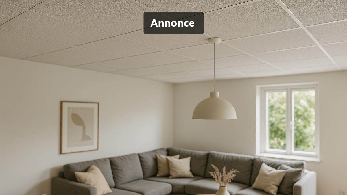 Hvorfor et akustikloft kan ændre oplevelsen af dit hjem